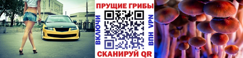 Псилоцибиновые грибы Cubensis  магазин    ссылка на мегу ссылка  Саратов 